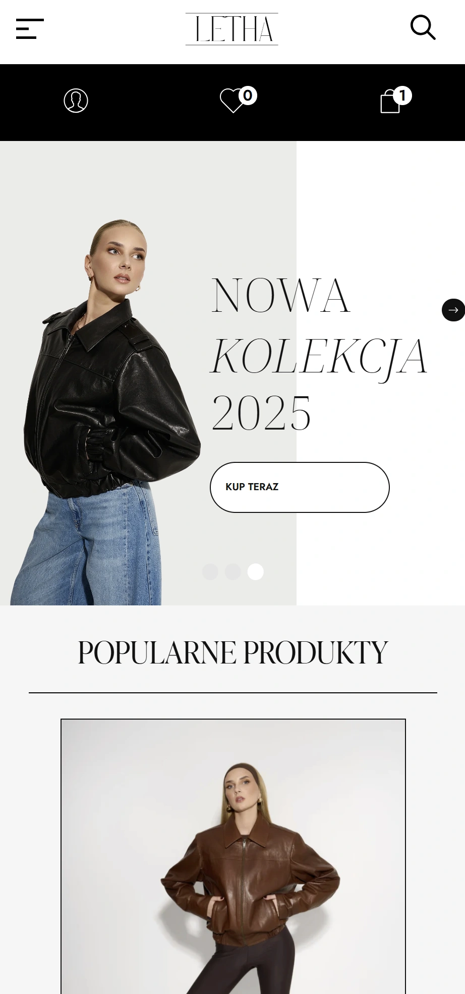 Zrzut ekranu 2026-02-24 220205